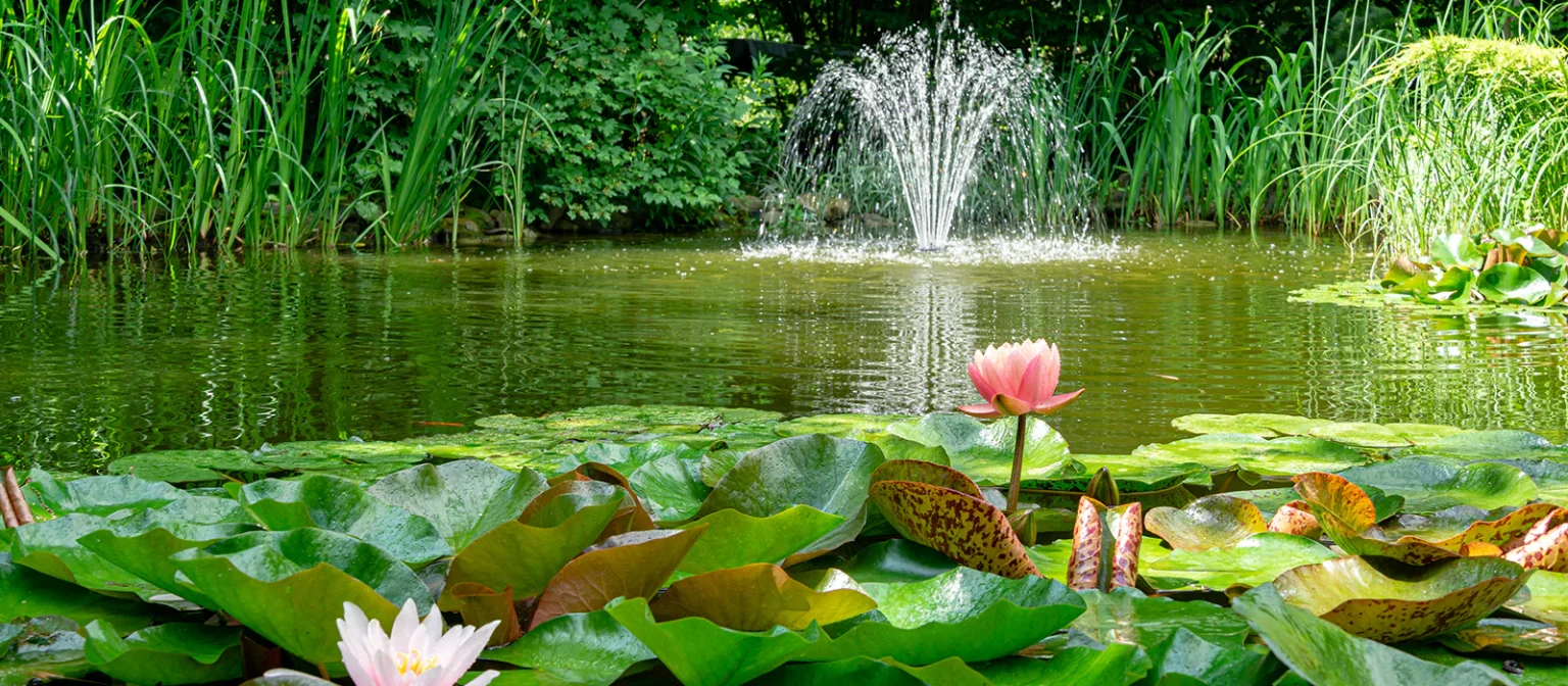 Create a Stunning Garden Pond with PondKeeper