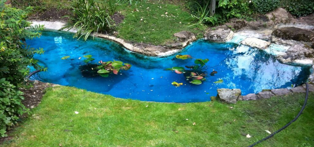 Create Your Dream Pond with PondKeeper: A Guide to the Best Pond Supplies and Maintenance